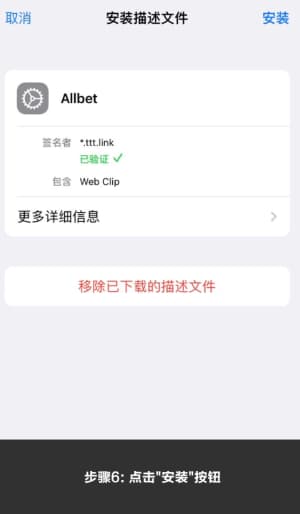 欧博ABG iOS端应用安装步骤与部署流程示意图6