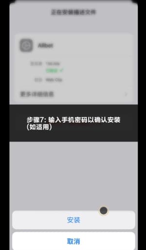 欧博ABG iOS端应用安装步骤与部署流程示意图7
